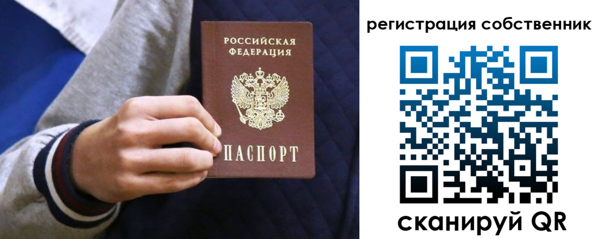 прописка поиск в Похвистнево